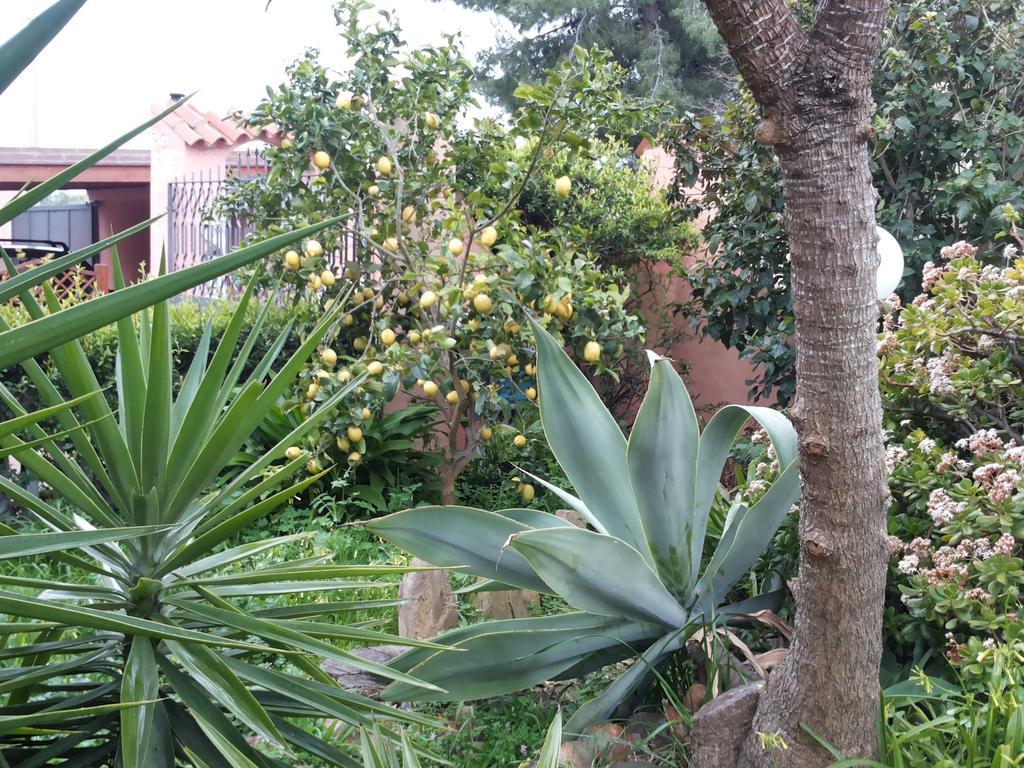 Residenza Bea Villa Flumini di Quartu Oda fotoğraf