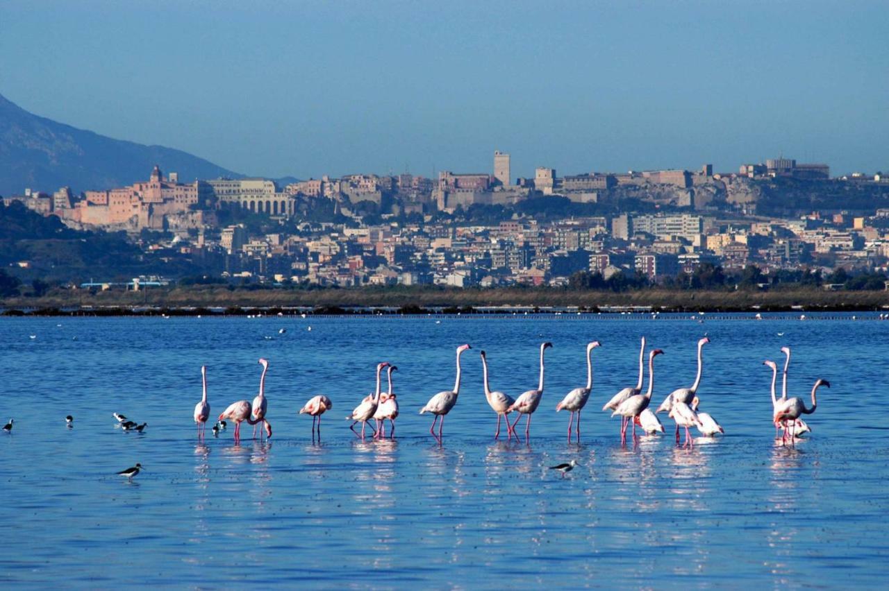 Residenza Bea Villa Flumini di Quartu Dış mekan fotoğraf